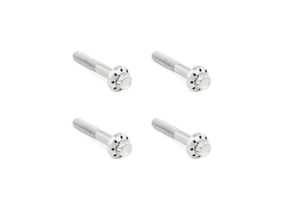 Titanium 12-Point Front Fender Mounting Hardware - Polished. Fits Touring 2009up.