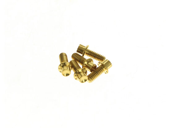 Taverner Motorsports - Derby Cvr Bolts; FLH'07up&FXD'06-17 - AN-300-940